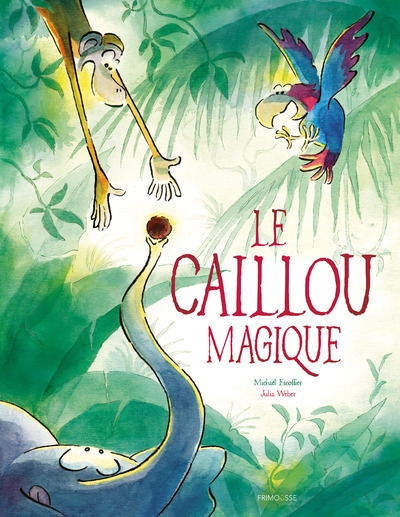 Le caillou magique - Image principale