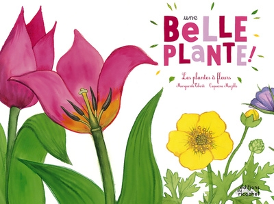 Une belle plante - Image principale