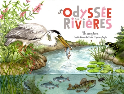 L'odyssée des rivières - Image principale