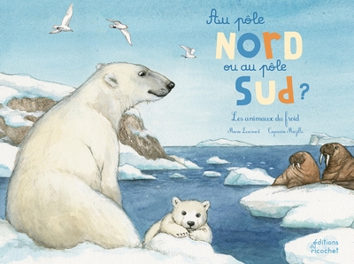 Au pôle nord ou au pôle sud ? - Image principale
