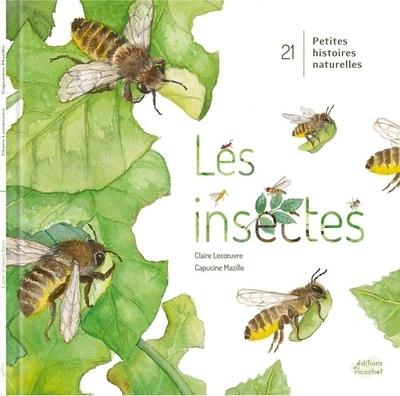 Les insectes ! - Image principale