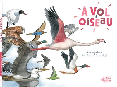 À vol d'oiseau - Image principale