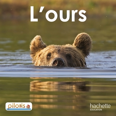 Lecture cp - collection pilotis - album 2 l'ours - edition 2013 - Image principale