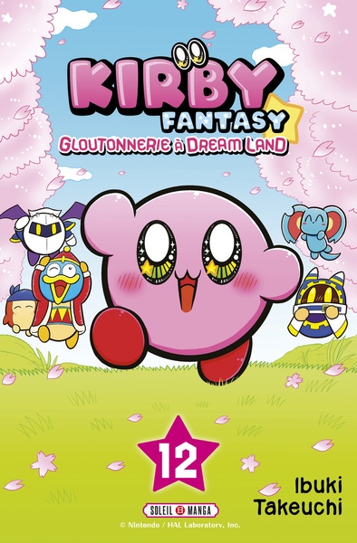 Kirby fantasy t12 - Image principale