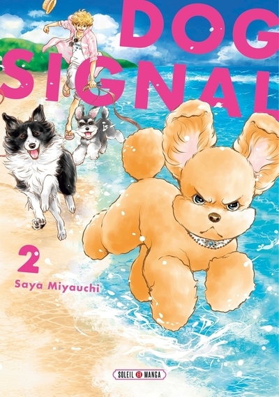 Dog signal t02 - Image principale
