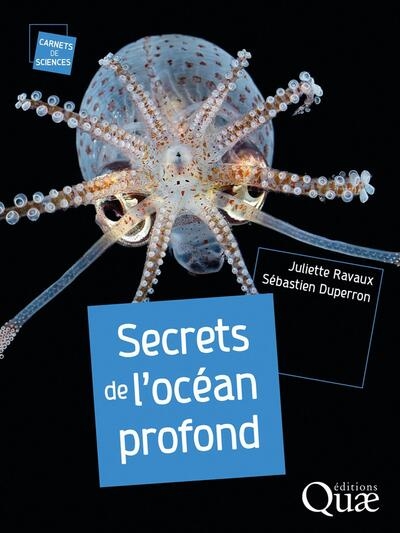 Secrets de l'océan profond - Image principale