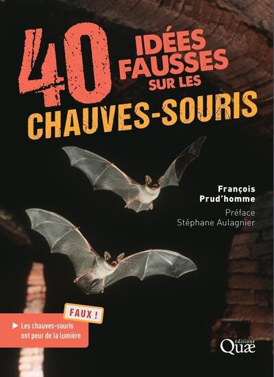 40 idées fausses sur les chauves-souris - Image principale