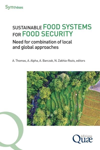 Sustainable food systems for food security - Image principale