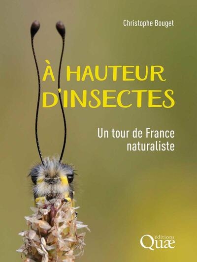 À hauteur d'insectes - Image principale