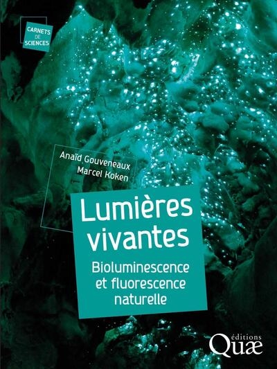 Lumières vivantes - Image principale