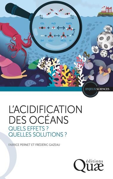 L'acidification des océans - Image principale
