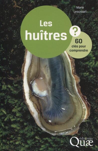 Les huîtres - Image principale