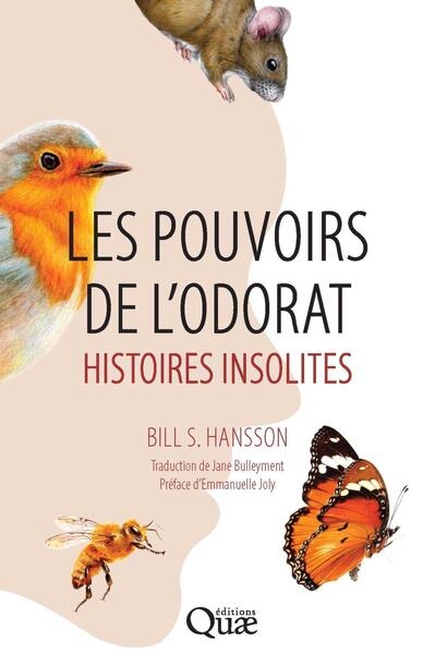 Les pouvoirs de l'odorat - Image principale