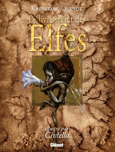 Le livre secret des elfes - Image principale