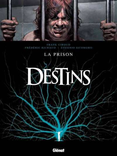 Destins - tome 12 - Image principale