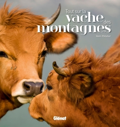 Tout sur la vache des montagnes - Image principale