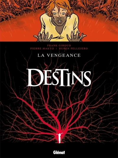 Destins - tome 13 - Image principale