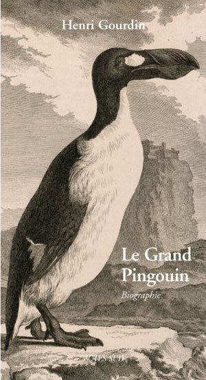 Le grand pingouin - Image principale