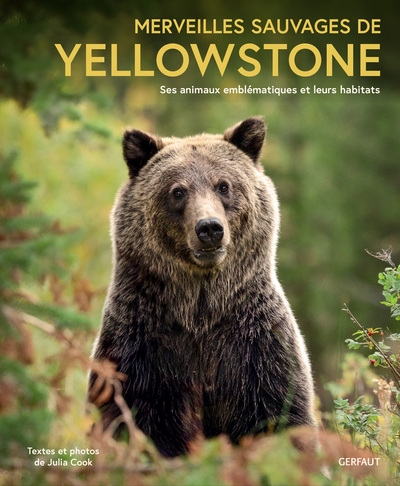 Merveilles sauvages de yellowstone - Image principale