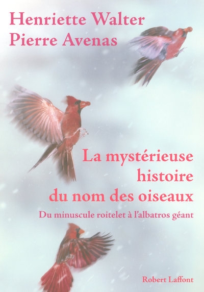 La mystérieuse histoire du nom des oiseaux du minuscule roitelet à l'albatros géant - Image principale