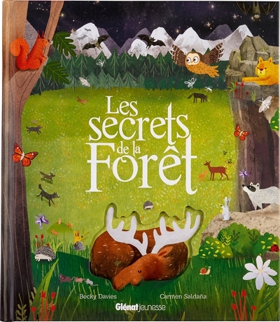 Les secrets de la forêt - Image principale