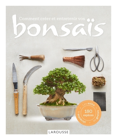 Comment créer et entretenir vos bonsaïs - Image principale