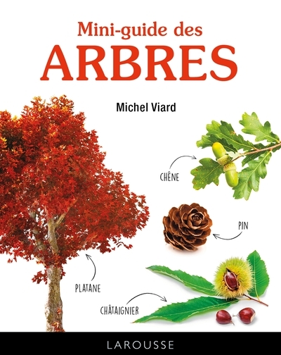 Mini-guide des arbres - Image principale