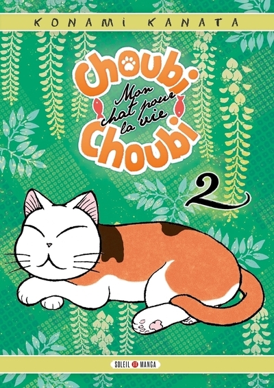 Choubi-choubi, mon chat pour la vie t02 - Image principale