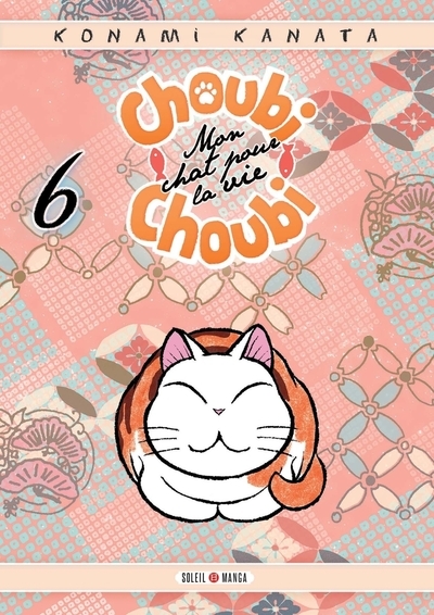 Choubi-choubi, mon chat pour la vie t06 - Image principale