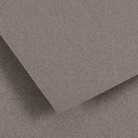 Papier dessin Canson Ingres Vidalon 100g - 50 x 65 - gris chiné - Image principale