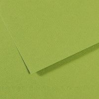Papier dessin mi-teintes Canson 160 g - 50 x 65 - vert pomme - Image principale