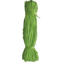 Pelote de raphia végétal 50g coloré - Vert printemps - Image principale