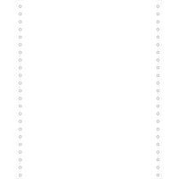 Feuilles listing blanc 240x11 4/6 1pli Bande Caroll Détachable 80g - Image principale