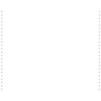 Feuilles listing blanc 380x12 1pli bandes détachables 70g - Image principale