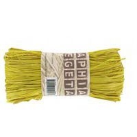 Pelote raphia végétal 50g - jaune - Image principale