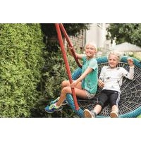 Nid d'oiseau - Image principale