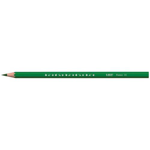 Illustration de : Etui 12 crayons 17,5 cm Tropicolor- Bic