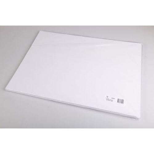 Illustration de : Feuille bristol blanche 50 x 65 cm 205 g - Clairefontaine