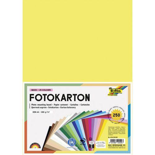 Illustration de : Paquet de 250 feuilles A4 300g 25 couleurs assorties - Folia