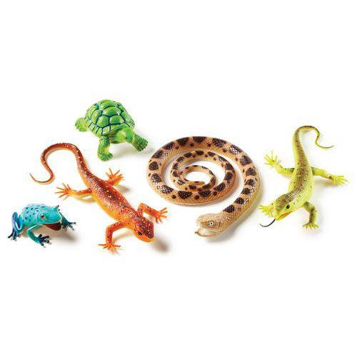 Illustration de : Reptiles et amphibiens géants - Learning ressources