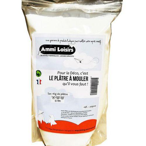 Illustration de : Recharge plâtre 1 kg - Ammi