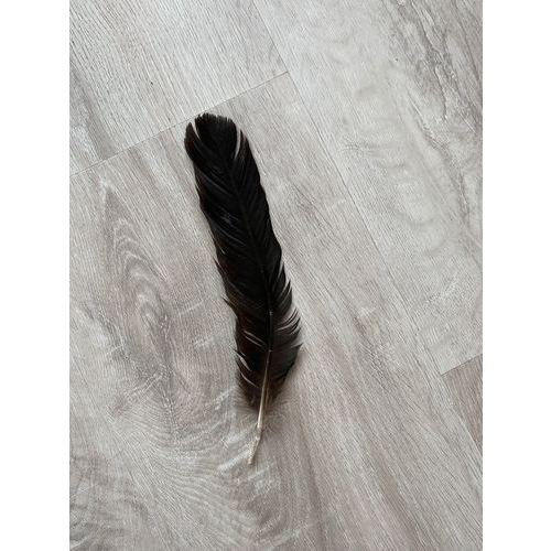 Illustration de : Casque de chevalier pour enfant en papier mâché à décorer - Décopatch