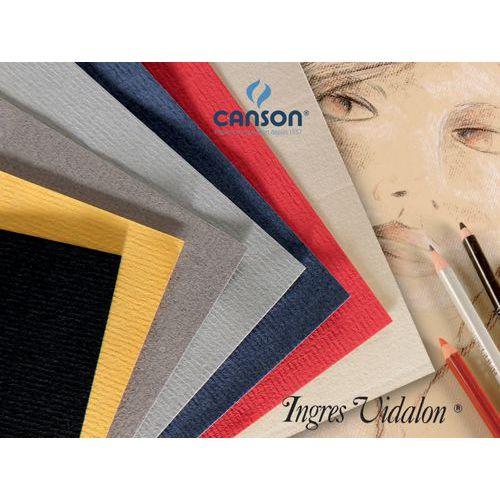 Illustration de : Papier dessin Ingres Vidalon 100g - 50 x 65 - Canson