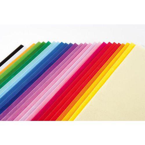 Illustration de : Main 24 feuilles serpentées 50 x 70 cm + 1 feuille gratuite