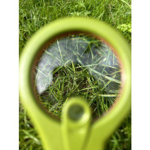 Illustration de : Méga loupe