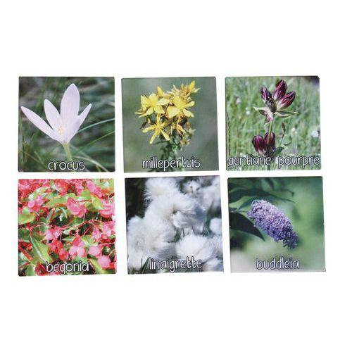 Illustration de : Mémo nature fleurs - Jeux FK