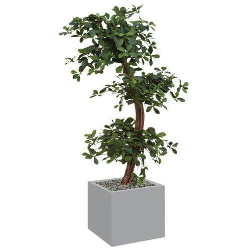 Illustration de : Bac bas métal O'CARRE sur roulettes Bonzaî haut