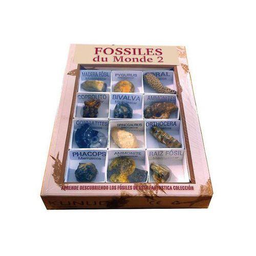 Illustration de : Les fossiles du monde